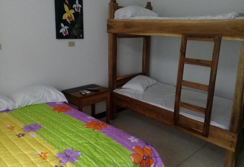 اتاق خانوادگی, Hostel Quintonido