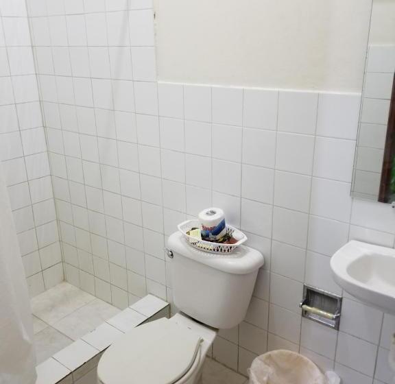 اتاق اکونومی, Hostel Quintonido