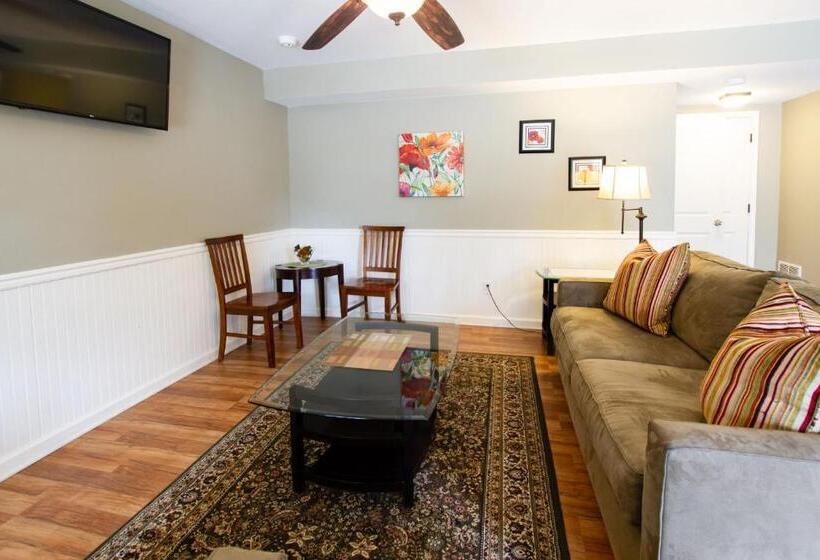 فيلا غرفة نوم واحدة, The Dahlonega Square Hotel & Villas