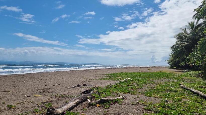 클래식 4인 룸, Apartahotel & Gym Rondon