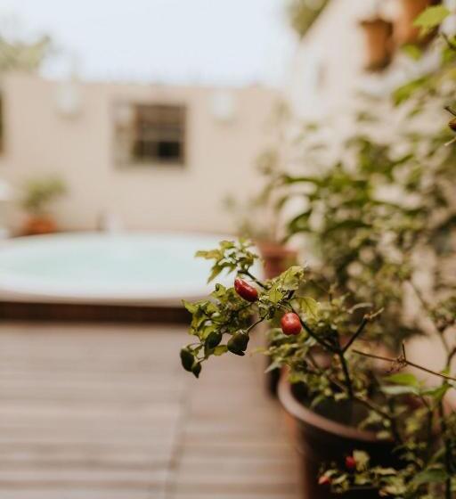 סוויטה עם מרפסת, Pousada Paty´s Garden