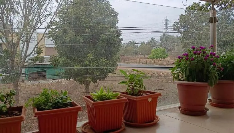 Standard-huone, Sugamya Corner Guesthouse