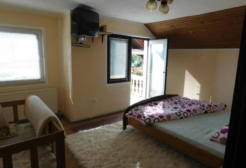 اتاق استاندارد, Pansion Renata