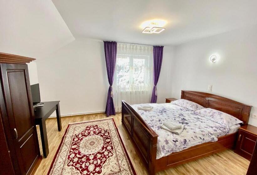 침실 1개 주택, Pensiunea Suci