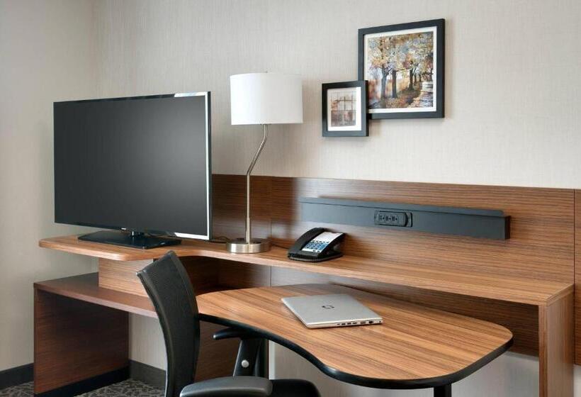 غرفة قياسية سرير كينج, Fairfield Inn & Suites By Marriott Springfield North