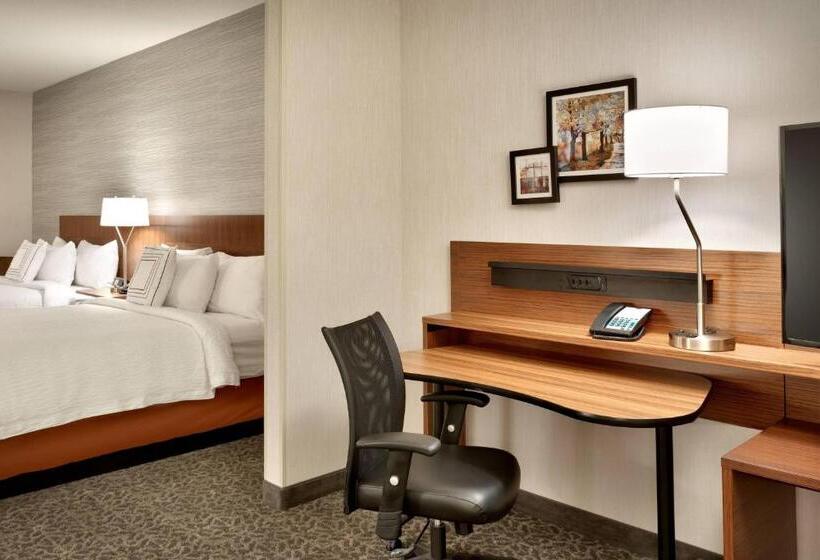 带大床的豪华间, Fairfield Inn & Suites By Marriott Springfield North
