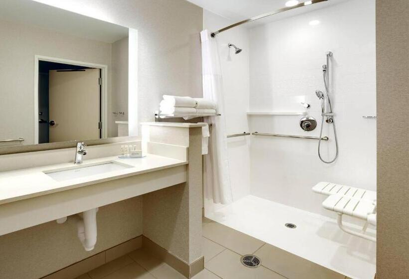 带大床的豪华间, Fairfield Inn & Suites By Marriott Springfield North