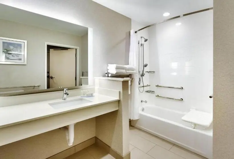 スイート, Fairfield Inn & Suites By Marriott Springfield North