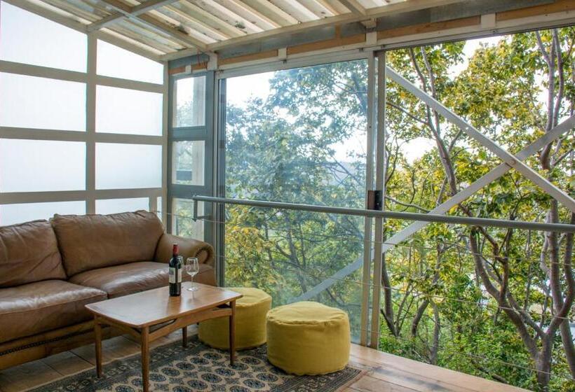 豪华房间, Pablo House