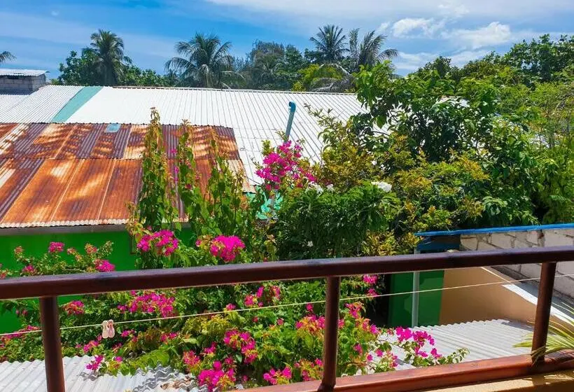 اتاق استاندارد, Nemo Inn