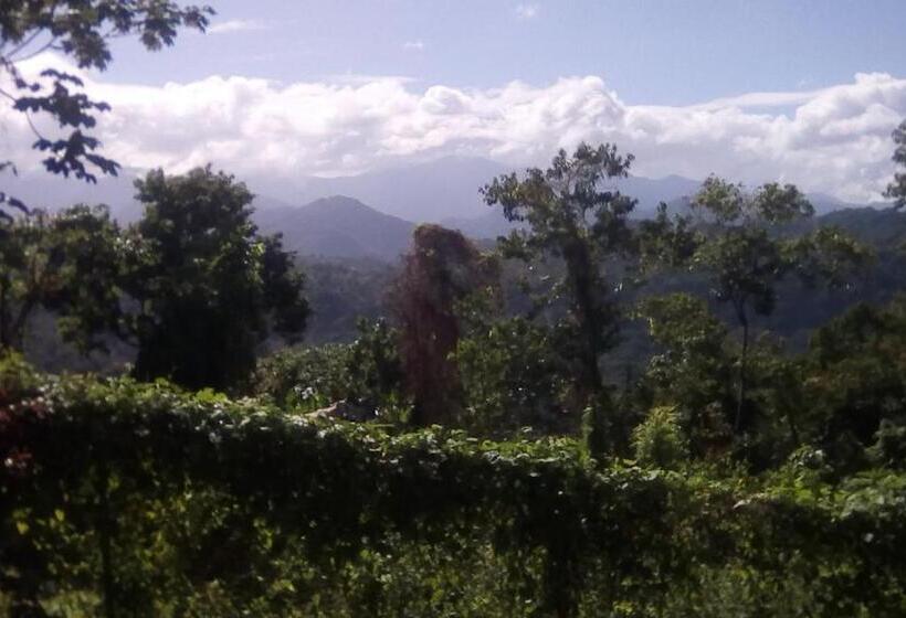 خانه 1 خوابه, Shotover Gardens Estate