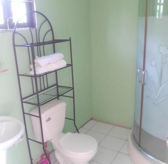 استودیوی استاندارد, Shotover Gardens Estate