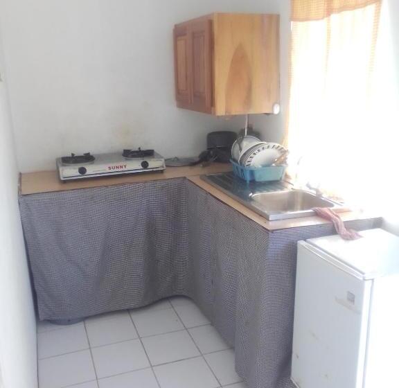 استودیوی استاندارد, Shotover Gardens Estate