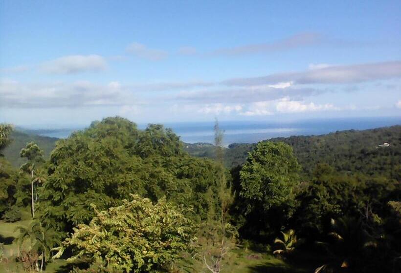 خانه 1 خوابه, Shotover Gardens Estate