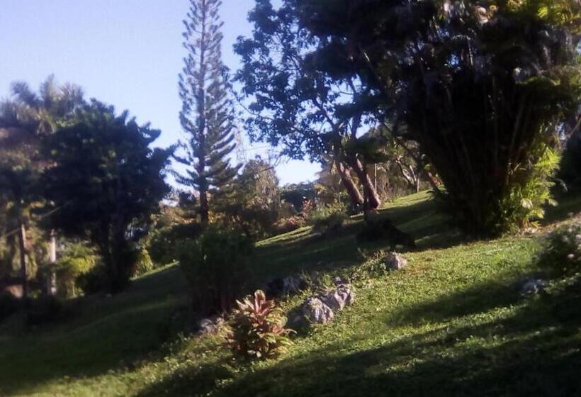 خانه 1 خوابه, Shotover Gardens Estate