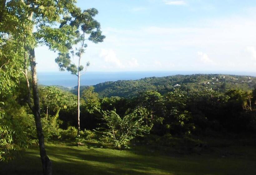 استودیوی استاندارد, Shotover Gardens Estate