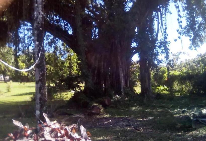 استودیوی استاندارد, Shotover Gardens Estate