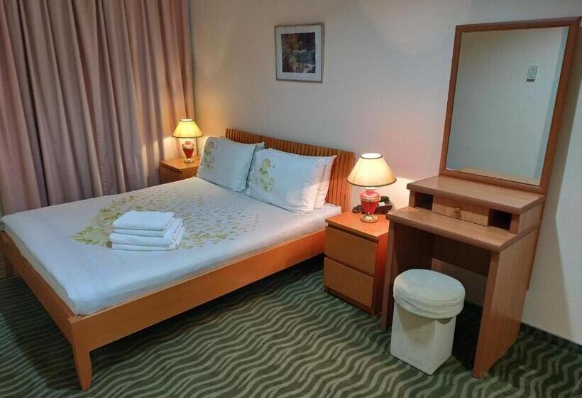 اتاق اکونومی, City Mansion Apart