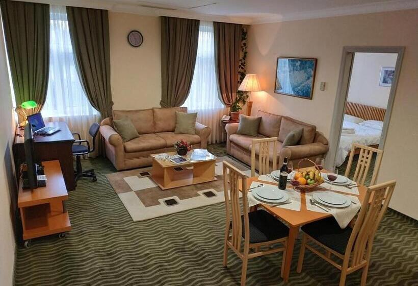 اتاق اکونومی, City Mansion Apart