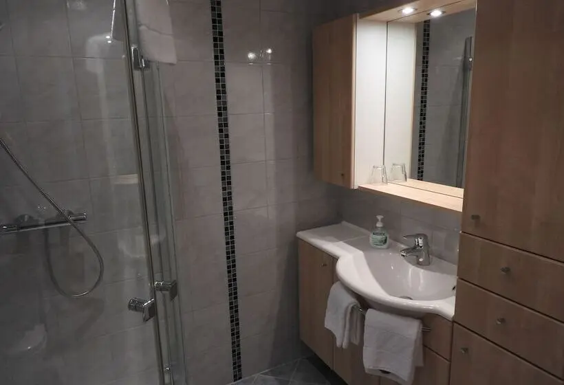 １ベッドルームアパートメント, Ertlschweigerhaus Pension   Appartements   Zimmer