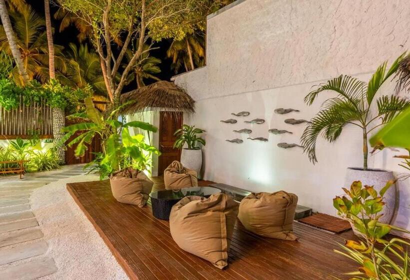 خانه 4 خوابه, Veli Vilaa