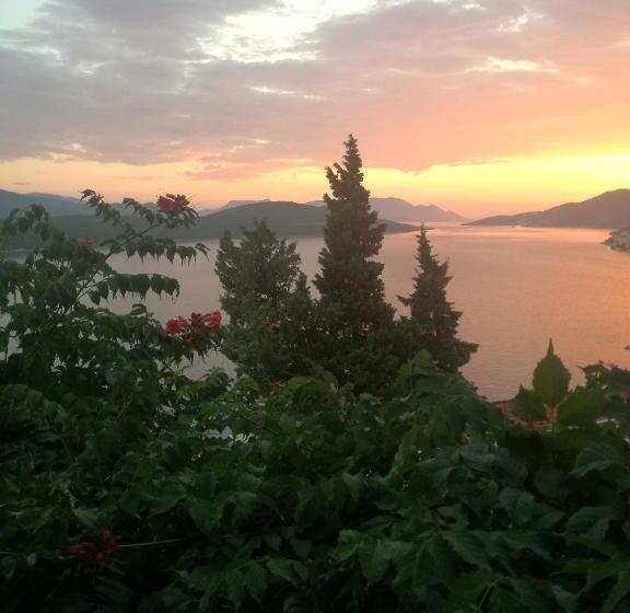 استودیوی استاندارد, Apartment And Rooms Barbaric