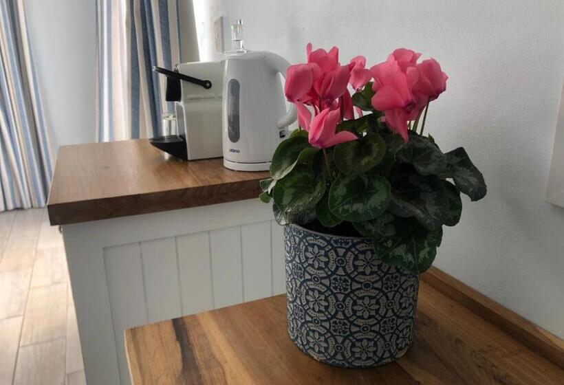장애인용 디럭스룸, Bluesky Arniston Guest House