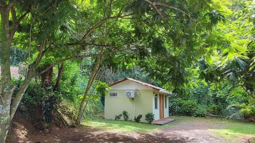 エコノミーシングルルーム, Hostal Y Cabinas Anita And Rafting Tour!