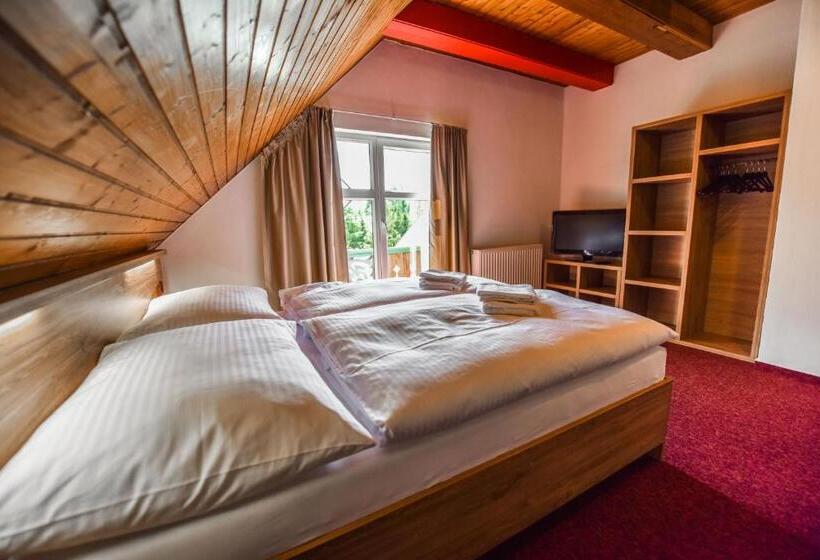 غرفة قياسية, Penzión Lomnicky