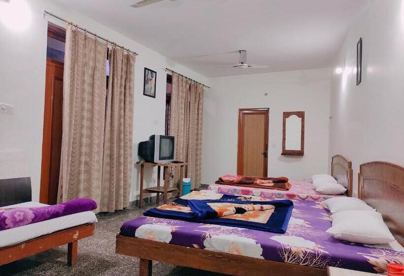 Семейный Номер Deluxe, Vidya Guest House