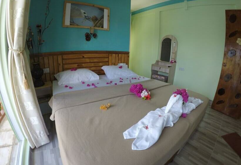 اتاق لوکس, Medhufaru Inn