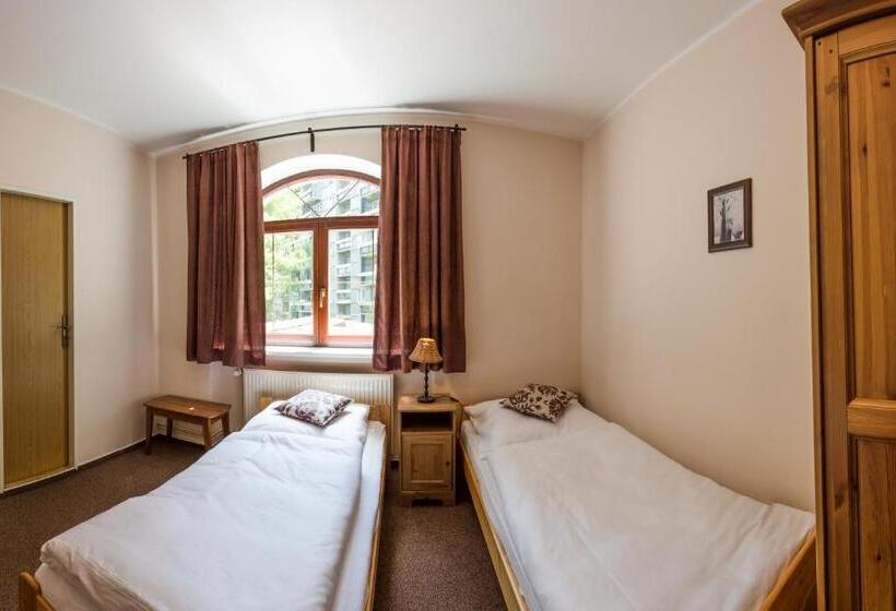 スタンダードシングルルーム, Penzion & řízkárna