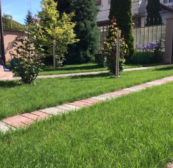 スタンダードスタジオ, Studio Julius Constanta