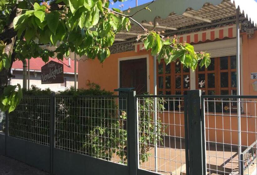 スタンダードバンガロー, Eszter Vendeghaz