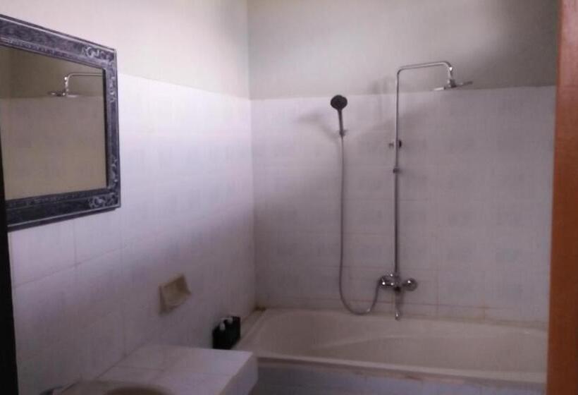 חדר סופריור, The Arya Guest House