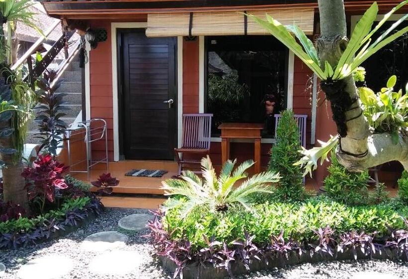 חדר סטנדרט יחיד, The Arya Guest House