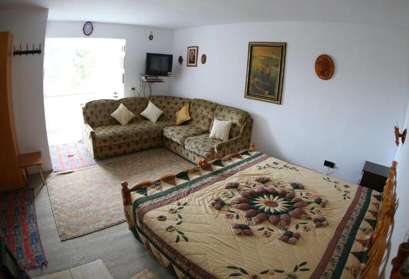 经济房, Vila Zenyt