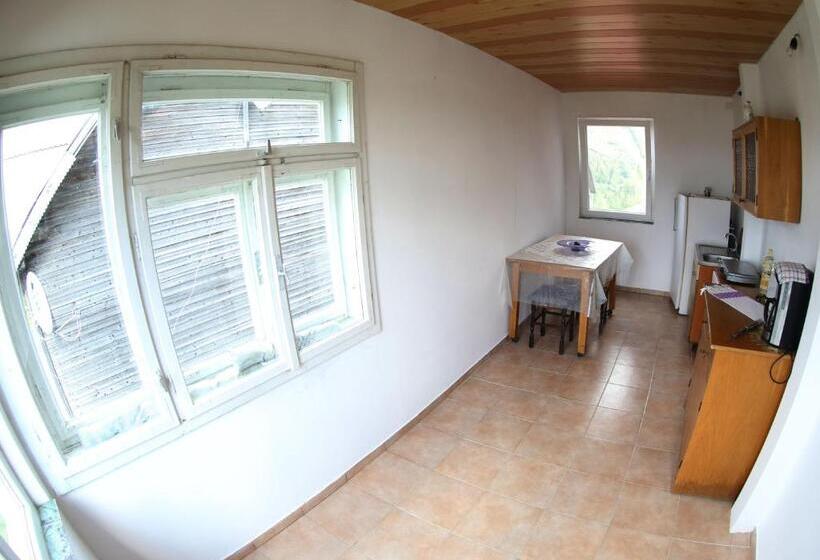 经济房, Vila Zenyt