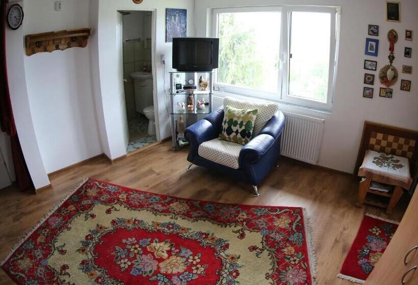 经济房, Vila Zenyt