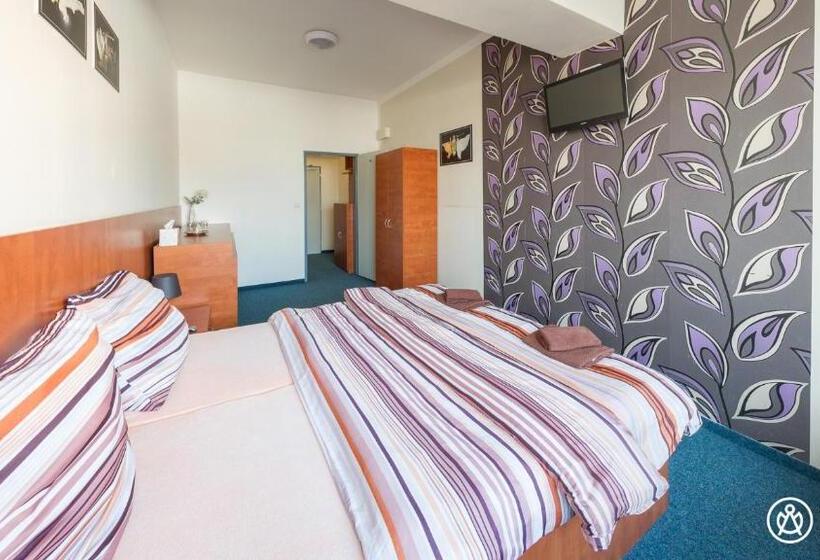 スタンダードルーム, černy Andēl