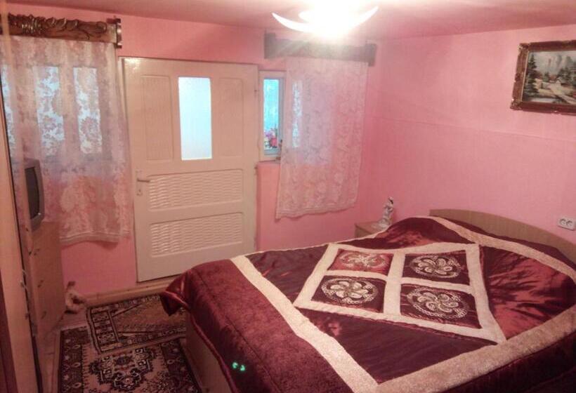 חדר סטנדרט, Pensiunea Daiana