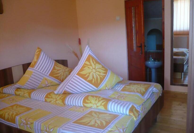 חדר סטנדרט, Pensiunea Daiana