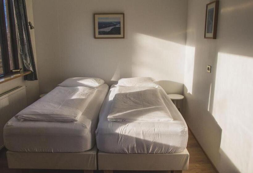 اتاق استاندارد با سرویس بهداشتی مشترک, Ormurinn Guesthouse