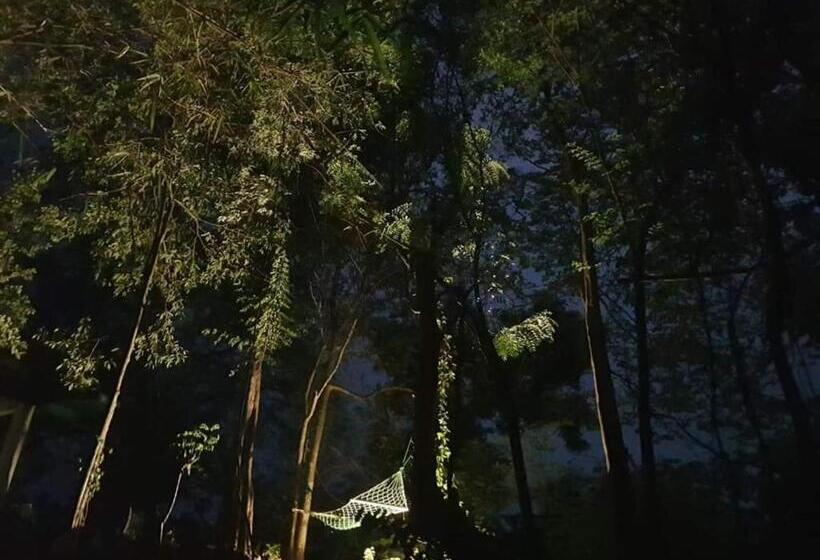 스탠다드 테라스 룸, Green House Resort