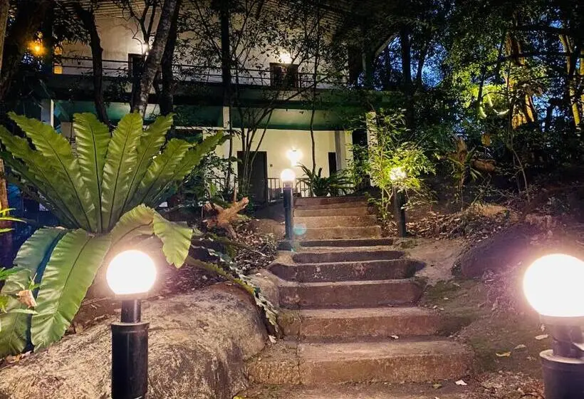 バルコニー付きデラックスルーム, Green House Resort