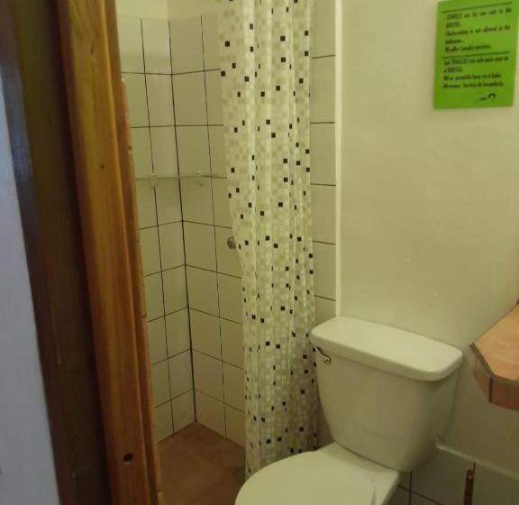 اتاق استاندارد یک نفره, Hostal Hansi