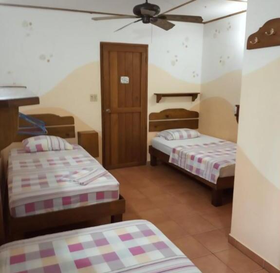 اتاق استاندارد سه نفره, Hostal Hansi