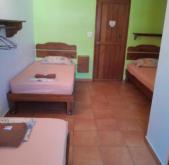 اتاق استاندارد سه نفره, Hostal Hansi
