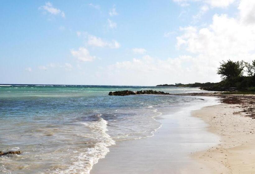 استودیو استاندارد با چشمانداز باغ, Seacastles By The Beach/pool