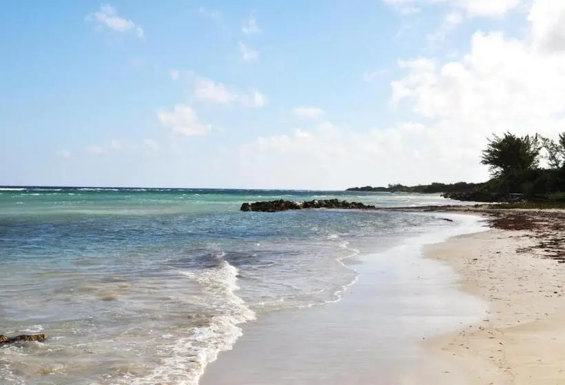 استودیو استاندارد با چشمانداز باغ, Seacastles By The Beach/pool
